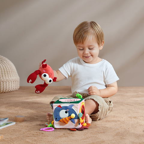 BabyCare Cube Puzzle Toy