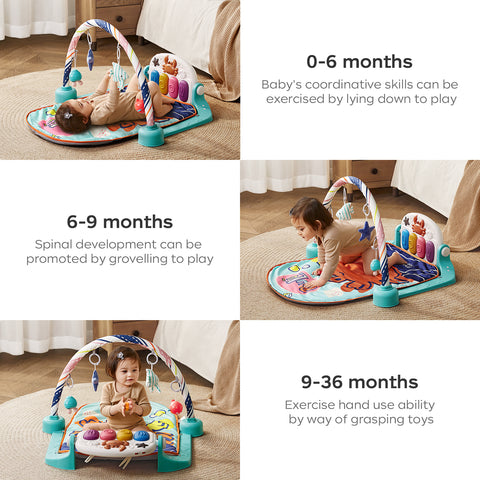 BabyCare Musical Activity Gym