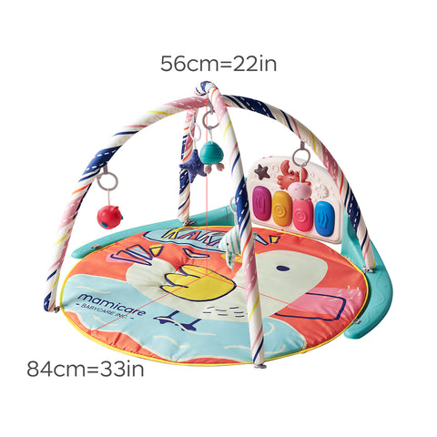 BabyCare Musical Activity Gym